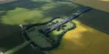 Argentina, una chitarra gigante tra i campi della pampa: 7.000 alberi piantati per amore