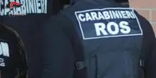 Camorra: sequestrati beni per 8 milioni ad Antimo Cesaro, fratello dell'ex senatore di FI