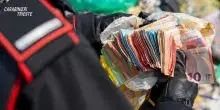 Getta per errore settemila euro nei rifiuti: recuperati dai Carabinieri