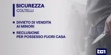 Decreto sicurezza: dai divieti di coltelli ai minori ai fermi preventivi per manifestazioni