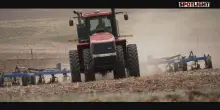 Spotlight: la battaglia del grano. Guerra in Medio Oriente e crisi alimentare