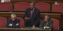 Calenda in Senato: "Da noi dialogo, ma da Governo serve cambio di marcia"