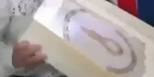 Torta con 'cappio', Ben Gvir festeggia il compleanno