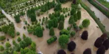 Monza e Brianza, tracima il Seveso, le immagini dei i campi allagati