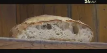 24MM. La crisi del grano in Sicilia
