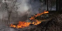 Ucraina, drone vicino a Chernobyl: incendio nella zona di esclusione. &ldquo;Radiazioni entro i limiti"
