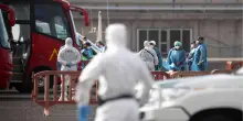Hantavirus, dai primi sintomi al contagio. Quando rivolgersi al medico? E come si previene?