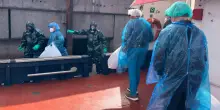 Altri due contagiati, ma rischio resta basso. Nave bloccata per norovirus, la fake sui focolai