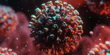 Hantavirus, isolata la sequenza genetica: la prima istantanea per riconoscere il virus