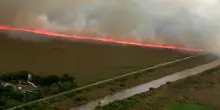 Il muro di fuoco in Florida, vasto incendio boschivo nelle Everglades