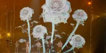 Eurovision, dal Portogallo i Bandidos do Cante e le rose bianche come ricordi sospesi