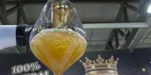 Il dattero diventa liquido, a Milano scoppia la mania italomediorientale
