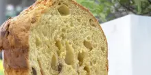 Il 'panettone sostenibile' viaggia da Frosinone alla Germania