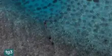 Maldive, cinque italiani perdono la vita a 50 metri di profondit&agrave;