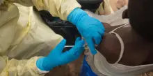 Ebola, l'identikit del virus che nel 2014 sfid&ograve; il mondo
