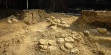 Francia, uova di dinosauro di 72 milioni di anni fa scoperte nel museo