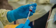 Ebola, Usa effettueranno test a viaggiatori da paesi colpiti. Trump, per ora confinata in Africa