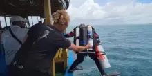 Bombole d'ossigeno in spalla, poi il salto nell'acqua: operazioni di recupero dei corpi alle Maldive