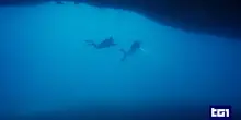 Maldive, la staffetta dei soccorsi in fondo al mare