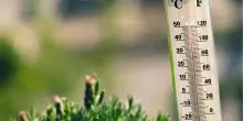 Ondate di calore, i livelli di rischio e le citt&agrave; pi&ugrave; colpite. Come proteggere la nostra salute