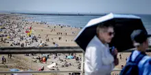 Ondate di calore, l'ONU: "Un brutale richiamo alla crisi climatica"