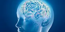 Uomo paralizzato recupera alcuni movimenti e tatto grazie a un 'by-pass neurale'