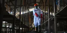 Oms chiede tregua in Congo per contenere l'Ebola: "Impossibile isolare malati sotto le bombe"