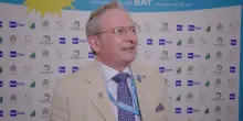 Adriano Monti Buzzetti Colella: "Cartoons on the bay dedicato al pubblico"