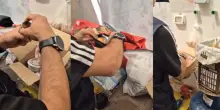1.335 arresti e 450 chili di droga sequestrati: maxi operazione in tutta Italia. Meloni: avanti cos&igrave;
