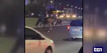 Fuga di cavalli a Roma, le scuse del vigile che li ha spaventati
