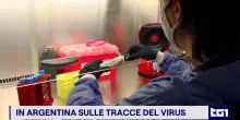 Sulle tracce dell'hantavirus: una distesa di rifiuti e quei piccoli roditori dalla coda lunga