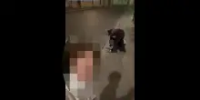 Belluno, calci e pugni contro uno straniero in pieno centro: denunciati sei giovani
