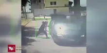 Il video dell'orrore: quattro braccianti bruciati vivi in un minivan a Cosenza