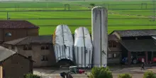 Downburst in Lomellina: crollano i silos nelle campagne