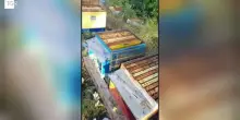Migliaia di api sterminate con lo zolfo, l'atto vandalico contro un'azienda di Latina