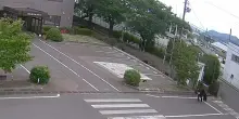 Un orso bruno attacca e ferisce quattro persone in Giappone: il video dell'aggressione