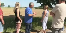 Il parco fotovoltaico a pochi passi da casa, la protesta dei residenti in Friuli