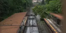 Il maltempo investe la Capitale, la ferrovia &egrave; bloccata dagli alberi caduti
