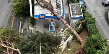 Devastazione dopo il tornado su Roma: distributore di benzina travolto dagli alberi