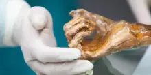 Mappato il microbioma di &Ouml;tzi l'uomo dei ghiacci. La scoperta: super lieviti resistenti al freddo