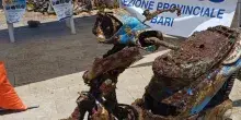 Pulifondali 2026, raccolti oltre 600 quintali di ferro, plastica e reti abbandonate