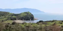 Albania, la "protesta dei fenicotteri" contro Edi Rama e l'ecomostro di Kushner