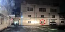 L'orso "Houdini" di Fukushima sfugge alla cattura: apre una finestra e scappa dalla fabbrica