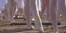 Duemila studenti dalle scuole di danza per il Ballo in Bianco con Roberto Bolle
