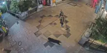 Giappone, orso tra i negozi nel centro di Utsunomiya: la citt&agrave; chiude tutte le scuole