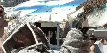 L&rsquo;ape regina in spiaggia a Cattolica: l&rsquo;ombrellone diventa un alveare