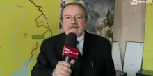 Il fucile che spar&ograve; il primo colpo dall'entrata dell'Italia nella Prima guerra mondiale