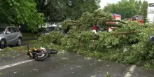 Bombe d'acqua e raffiche di vento in Lombardia. Ambulanze in difficolt&agrave; per alberi caduti