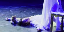 Gatto ruba la scena nel finale di Romeo e Giulietta e la tragedia finisce in commedia