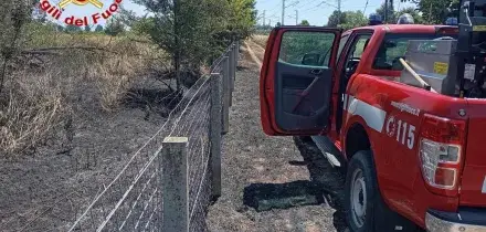 Disagi Alta Velocit&agrave; tra Milano e Bologna, due treni bloccati senza aria condizionata nel Lodigiano